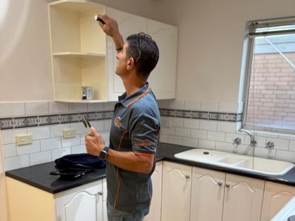 Building inspector - Dilapidation Survey
